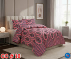 Printed Bed Sheet With 2 Pillow Covers